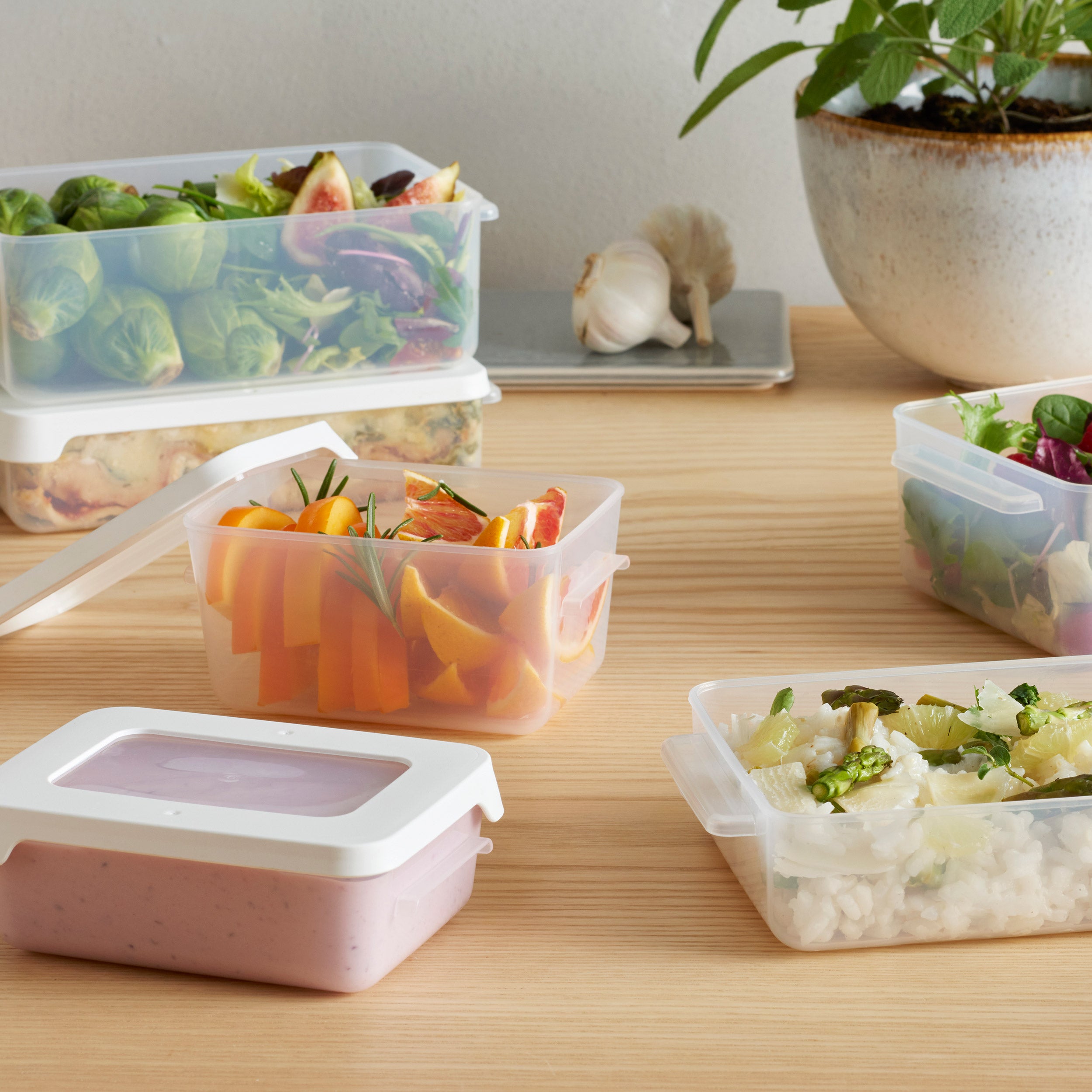 Airtight Food Storage Container – 0.45 L - Image 5